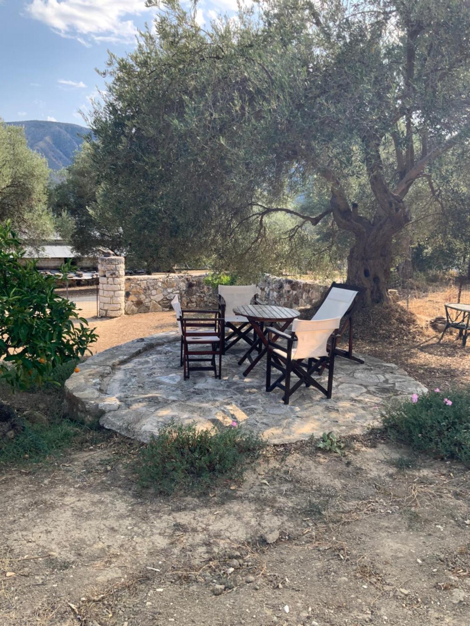 Villa Gloria Plataria Igoumenitsa Zewnętrze zdjęcie